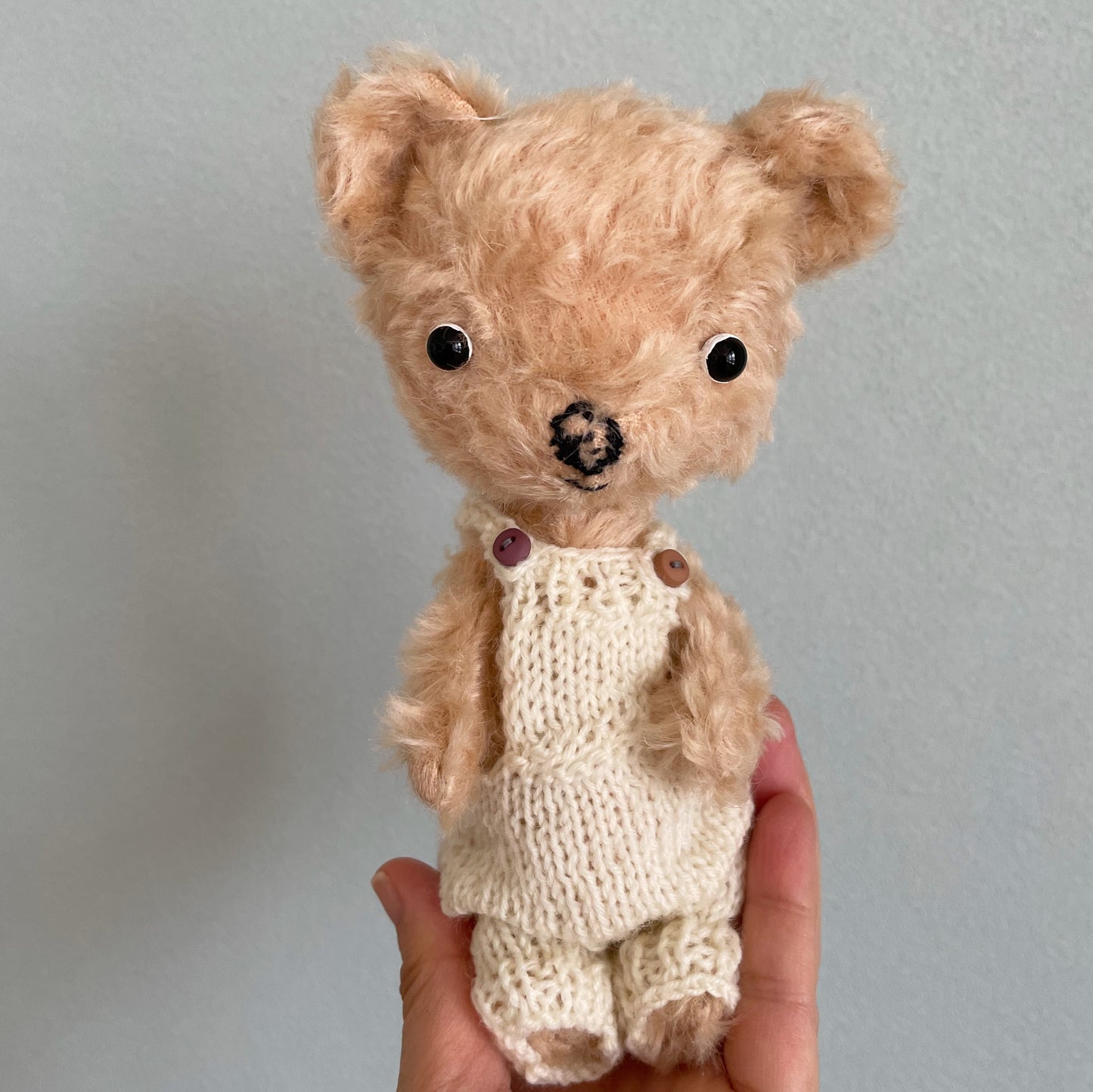 毛糸のサロペットを着たクリーム色のくまちゃん　Cream-colored bear in woolen salopettes