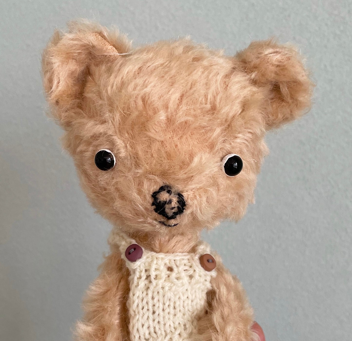 毛糸のサロペットを着たクリーム色のくまちゃん　Cream-colored bear in woolen salopettes